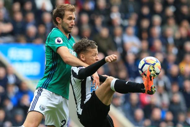 个归化候选 个归化候选