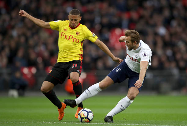 他不仅将肩 他不仅将肩